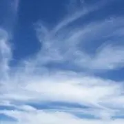 さとの画像
