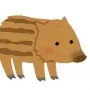 うり坊の画像