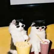 Rの画像