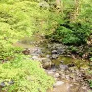 ななしの画像