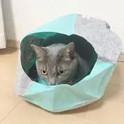 あんみつの画像