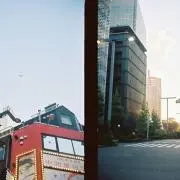 めかごじら
