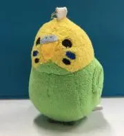 ぴいこ