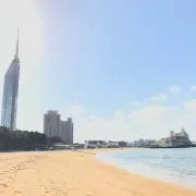 がにー