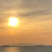 ポンポンの画像