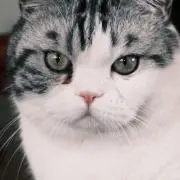 うのstamp ◐オーダー受付 初日印の画像
