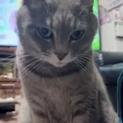 こんにちは！