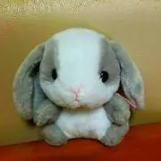 miyu