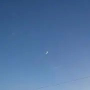も