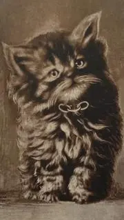 cattitudeの画像