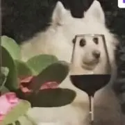 ちょびひげの画像