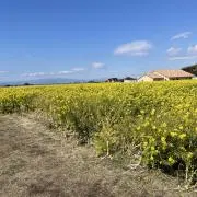 taffy☆の画像