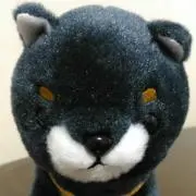JOLLYの画像