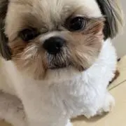 Nekaの画像