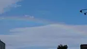 しばの画像