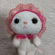 ずきんちゃん (必ずプロフ読んでね)の画像