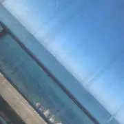 だいの画像