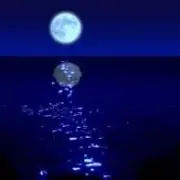 月夜野