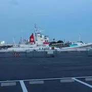 Kazu Saitoの画像