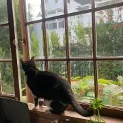 くりの画像