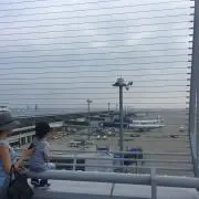 kotoの画像