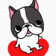 mamoの画像