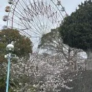 舞姫※プロフ参照の画像