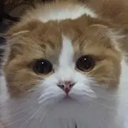 くるみどん