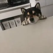 まさこ