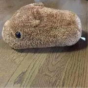 お休み中です