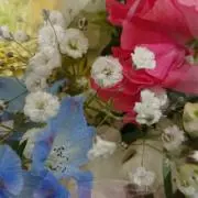 *chocomaccha*の画像