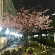 あんみつの画像