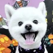 HOPEの画像