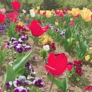 なっぺの画像