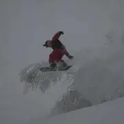 Ryoの画像