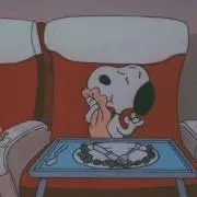 ぱだ