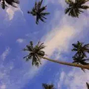07の画像