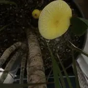 ^_^