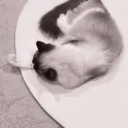 Hikaの画像