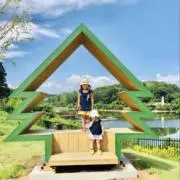 ましこっと
