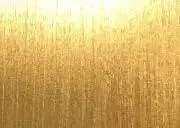 土方の画像