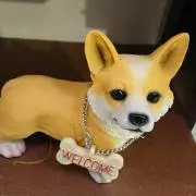 tomo