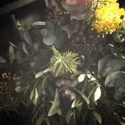ssggの画像