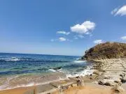 海月の画像