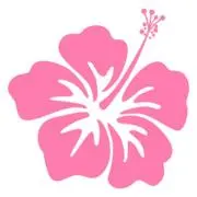 モモタロの画像