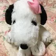 まる　＊21日〜22日発送出来ません＊の画像