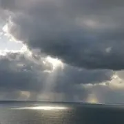 しろくま