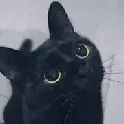 Nekoko