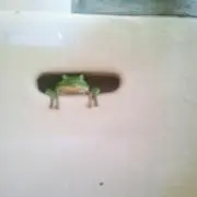 クロスケール