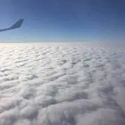 まんまの画像